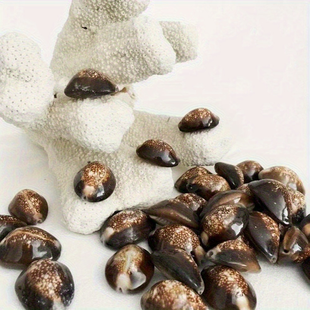 10Pcs Natural Brown Cowrie She - Resin Art Beach review and price
