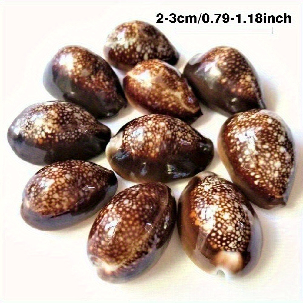 10Pcs Natural Brown Cowrie She - Resin Art Beach review and price