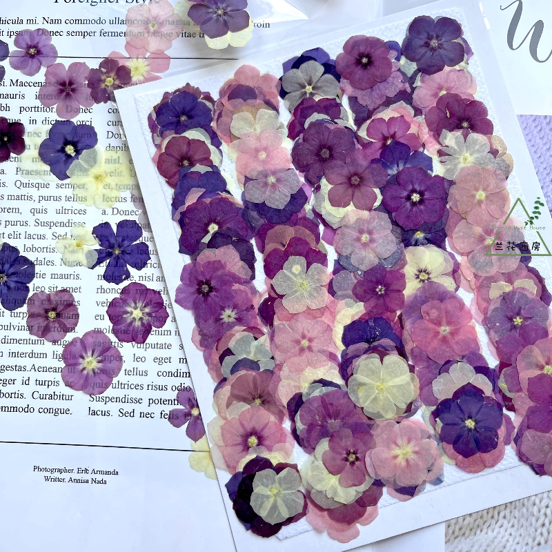 12pcs,Semi-Transparent Niche P - Resin Art Phone Case review and price